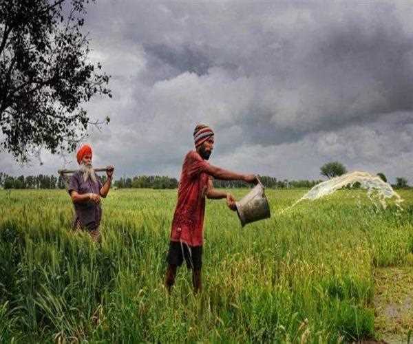 Only Farming Can Save Indian Economy