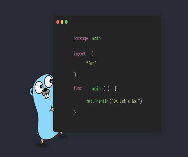 Golang developer salary: how promising is this career path