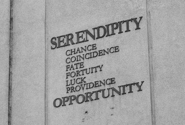 Life and Serendipity