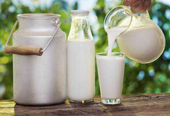 Top Alternatives Of Milk In Case You Do Not Wish To Drink