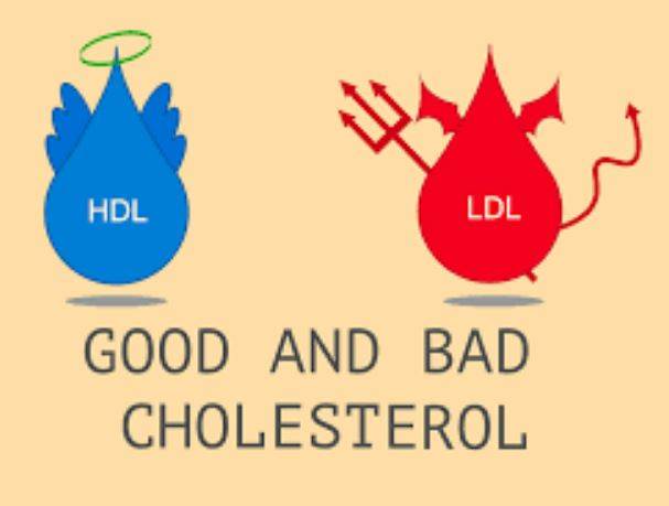 Balancing Between Good And Bad Cholesterol
