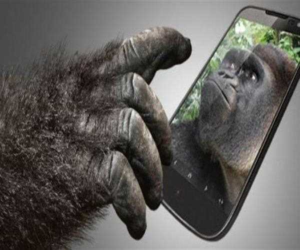 Everything To Know About Gorilla Glass 7