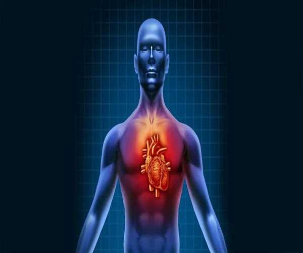 Rise of heart blockage in modern times