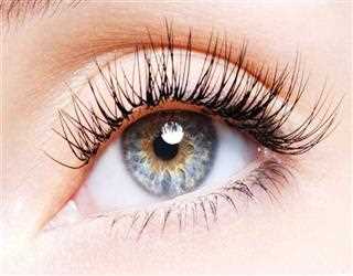 Why We Blink Without Noticing – The Science of Eye Protection