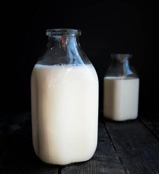 Fun Facts About Milk