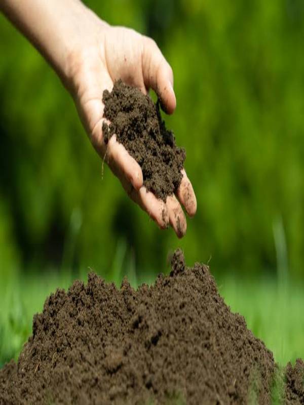 how-do-soil-formed-mindstick-yourviews-mindstick-yourviews