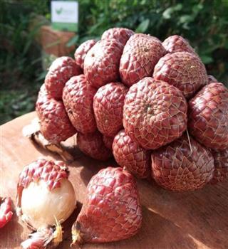 Most sour fruits worldwide