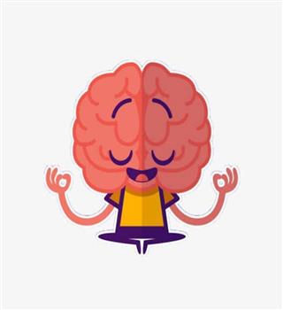 Top Ten Myths About the Brain