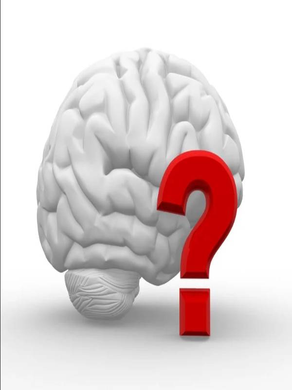Lack Intelligence 8 Clear Signs you're dealing with a low-intelligence Person - MindStick ...