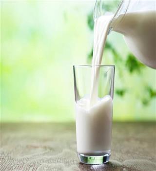 10 vegetarian sources of Vitamin B12