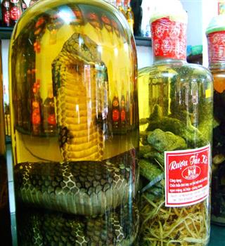 Is snake wine real?