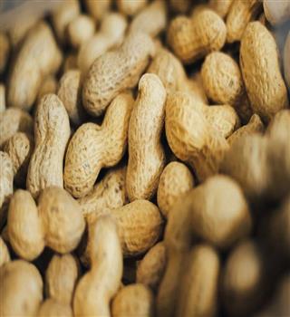 Why you should include peanuts in your diet in winter?