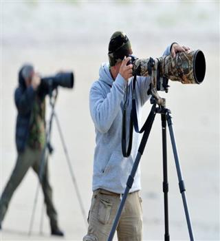 5 Wildlife Photography Tips for Beginners