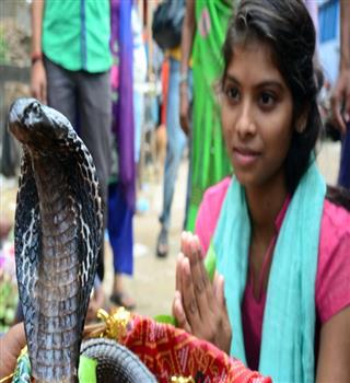 Why Snakes Are Worshipped During Nag Panchami