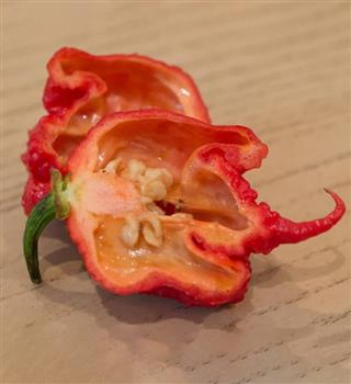 Hottest chillies in the world