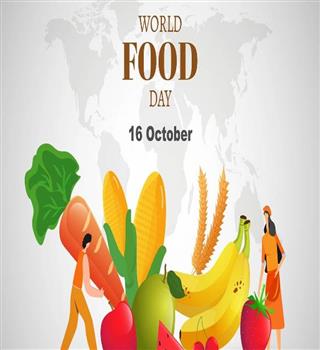 World food day 2023