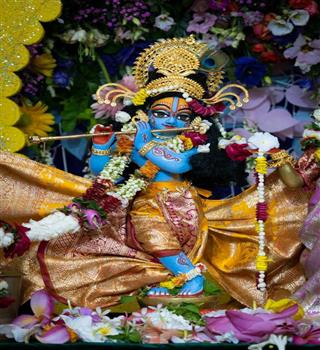 Krishna Janmashtami 2024: How to Celebrate in a Unique Way