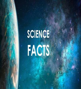 Everyday Science Facts