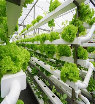 Are vertical farming and hydroponic farming same?