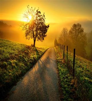 Reasons Why Waking Up Before Sunrise Can Transform Your Life