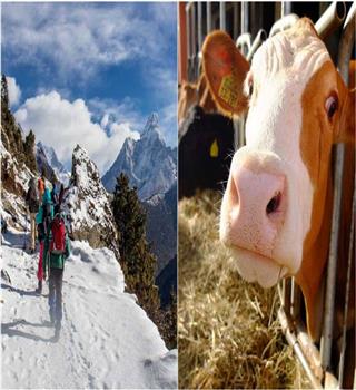 Interesting Facts About Indian Culture You Probably Never Knew