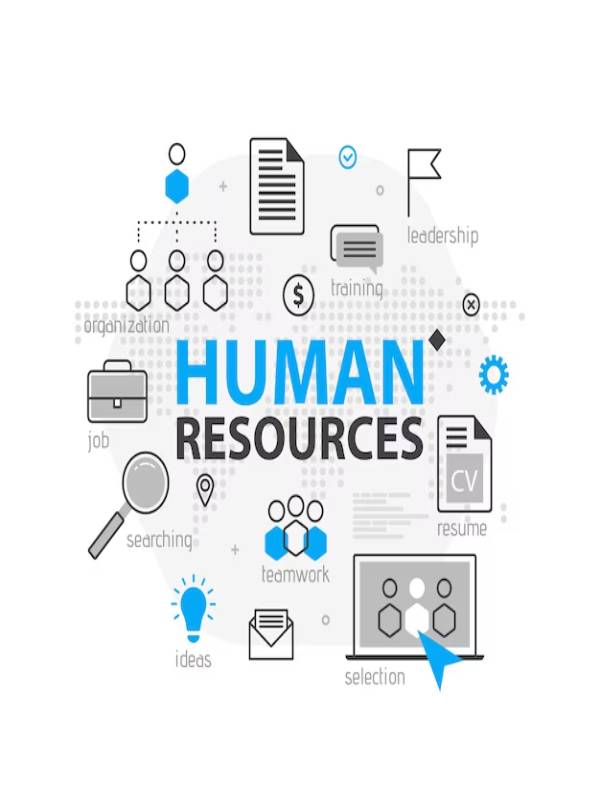 Types of Human Resources MindStick YourViews MindStick YourViews