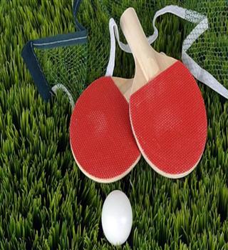 Indoors Sports Which Can Be Played In Your Homes