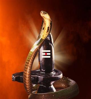 Nagpanchami 2024: 6 Important Facts