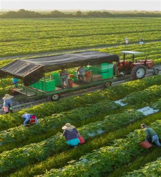 Some Agricultural Facts That Will Amaze You