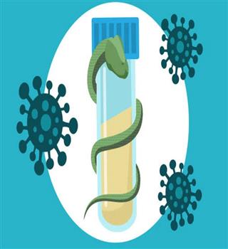 The Medical Uses of Venom