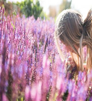 10 flowers to reduce stress when seen in the garden