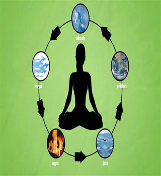 5 basic natural elements need for survival