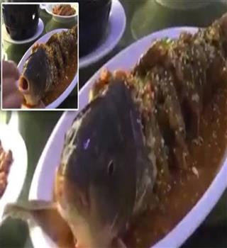 Ying and Yang fish dish!!