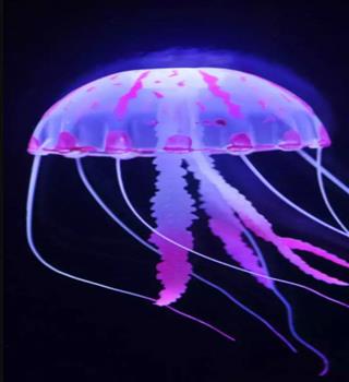8 Most Unique Animals in the World That Glow and Shine