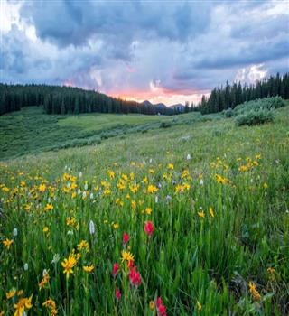 10 best places to visit in India in spring