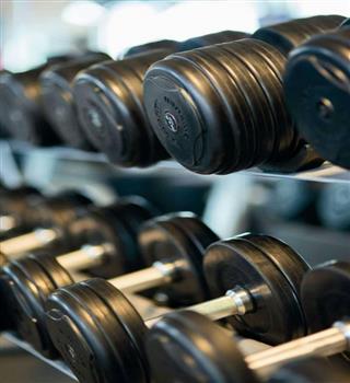 Types of muscle building workout
