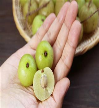 Benefits of chewing 1 Amla daily