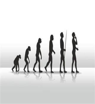Surprising facts about the evolution of human