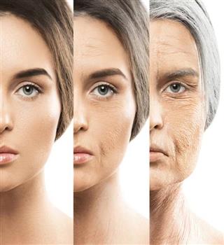 How to slow aging?