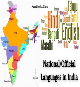 Are Indian regional languages declining?