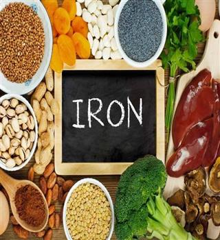 Top iron -rich foods to add in your healthy diet