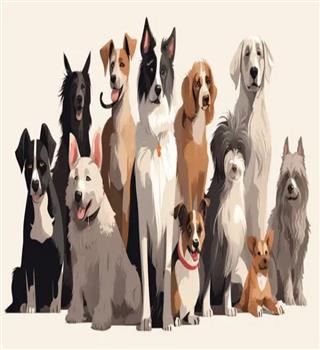 What do dogs look like before they get domesticated?