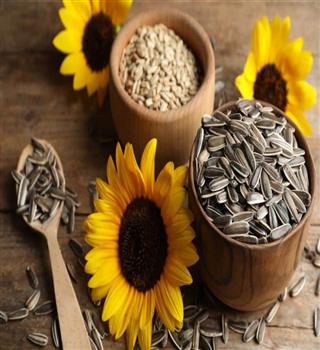 10 benefits of consuming sunflower seeds