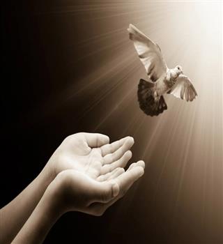 The Spiritual Connection Between Birds and Souls in Vedic Thought