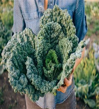 The 7 Healthiest Winter Vegetables