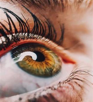 Best Foods That Improve Eye Health