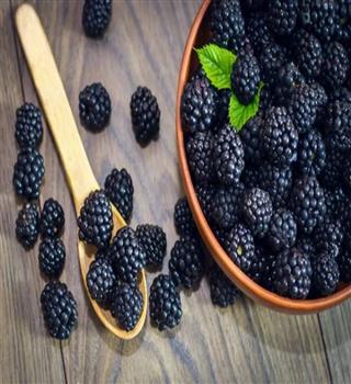 10 healthy benefits of blackberry.