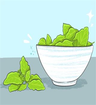 Health benefits of Tulsi leaves