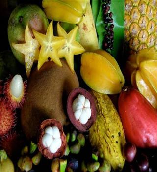Exotic Fruits Grown in India And Their Health Benefits