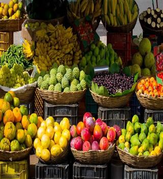 Most Famous Fruits of India With Geographical Indications